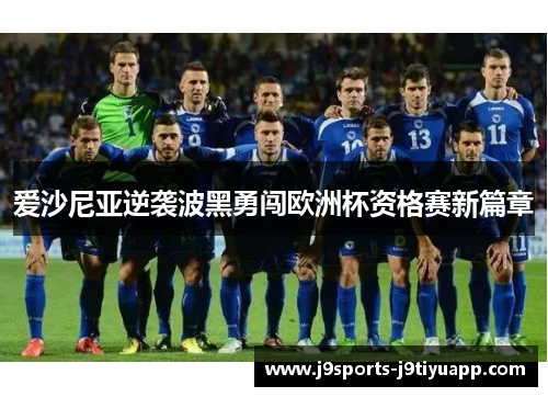 爱沙尼亚逆袭波黑勇闯欧洲杯资格赛新篇章