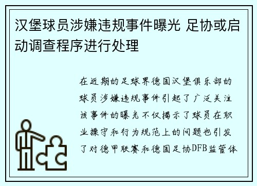 汉堡球员涉嫌违规事件曝光 足协或启动调查程序进行处理