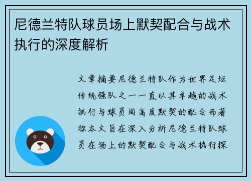 尼德兰特队球员场上默契配合与战术执行的深度解析